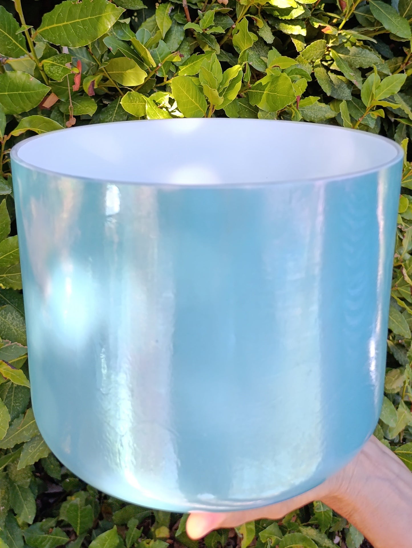CAMPANA OCEAN GOLD