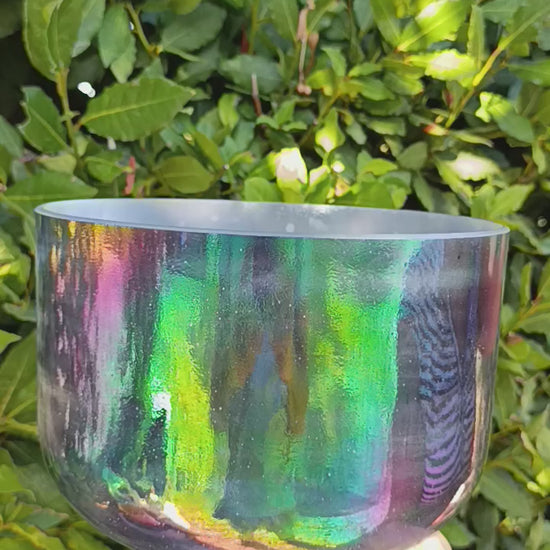 Campana alchemica Shungite e Platino