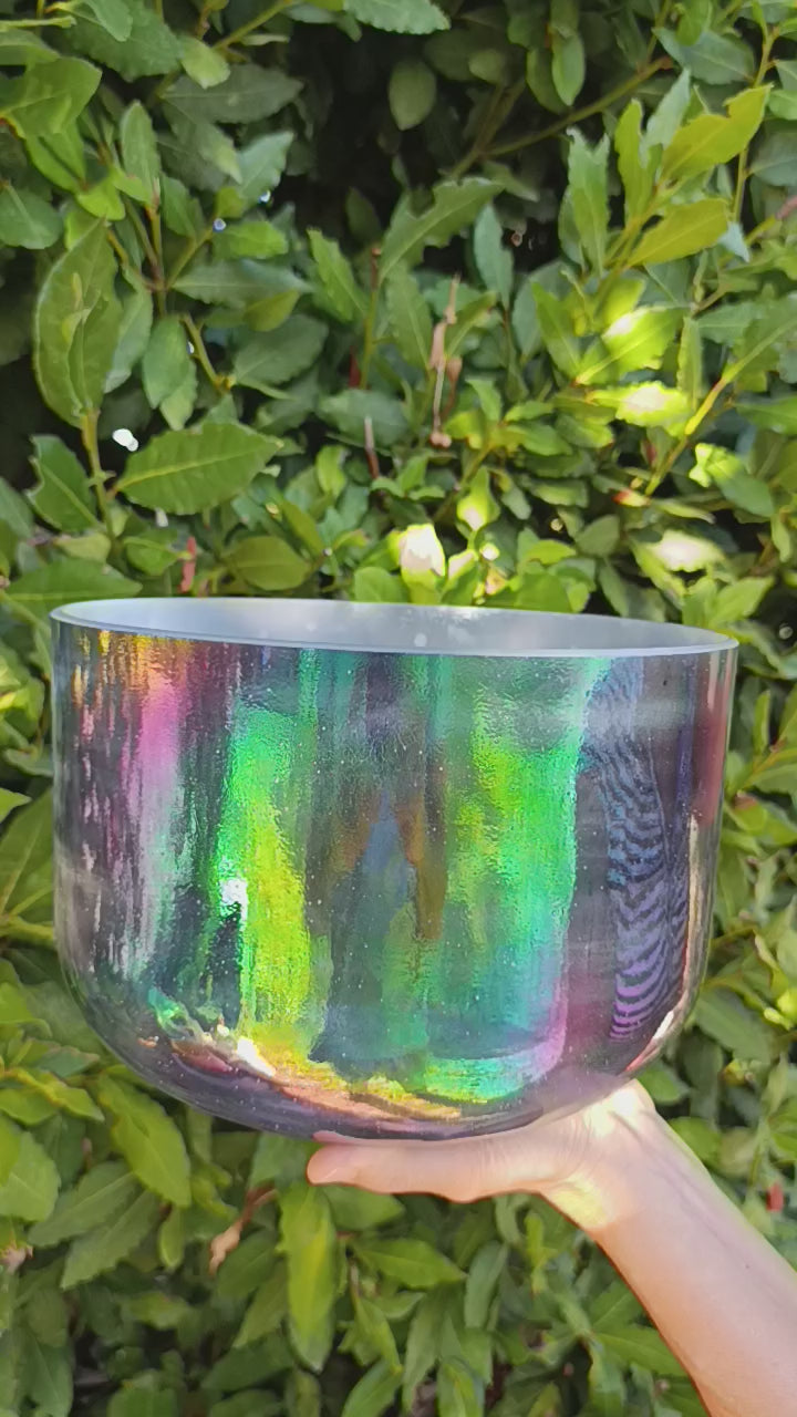 Campana alchemica Shungite e Platino